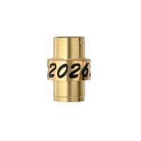 2026 Slimline 24kt Gold Pencil Band